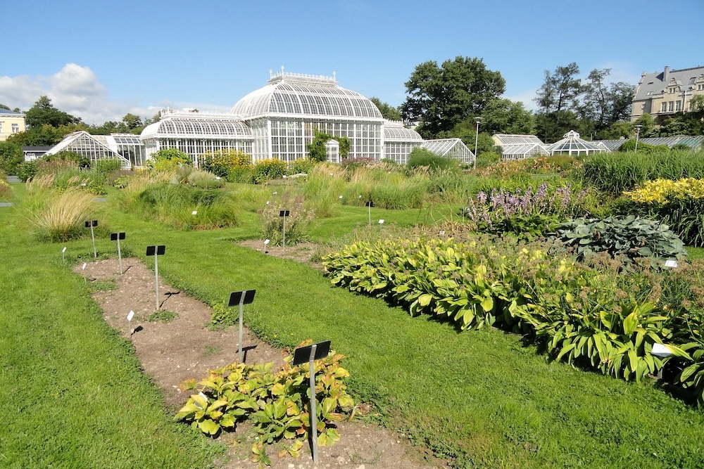 Botanische tuin Kaisaniemi met exotische en lokale planten.