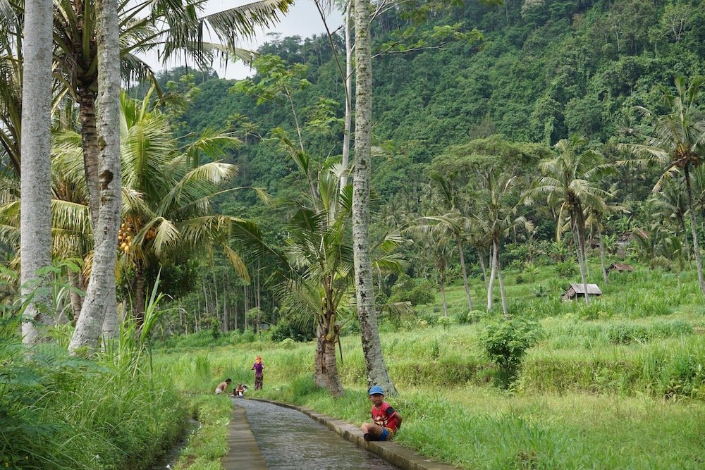Wandelen door de prachtige rijstvelden van Sidemen Bali