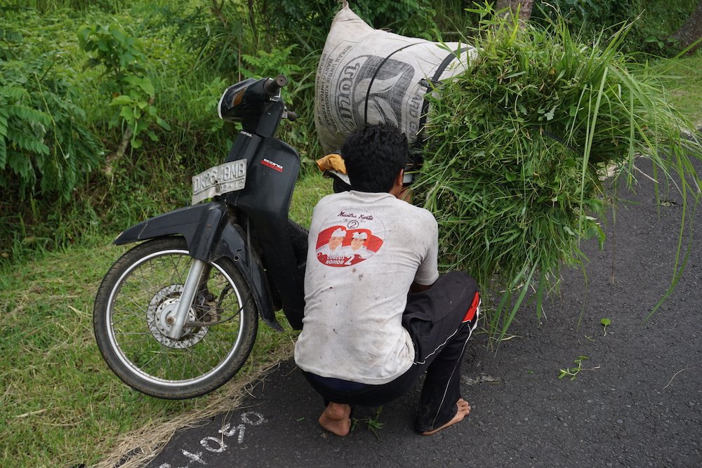 Wandelen door de rijstvelden van Sidemen Bali Indonesië