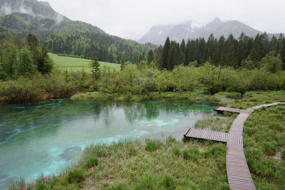 Natuurreservaat Zelenci nabij Podkoren en Kranjska Gora