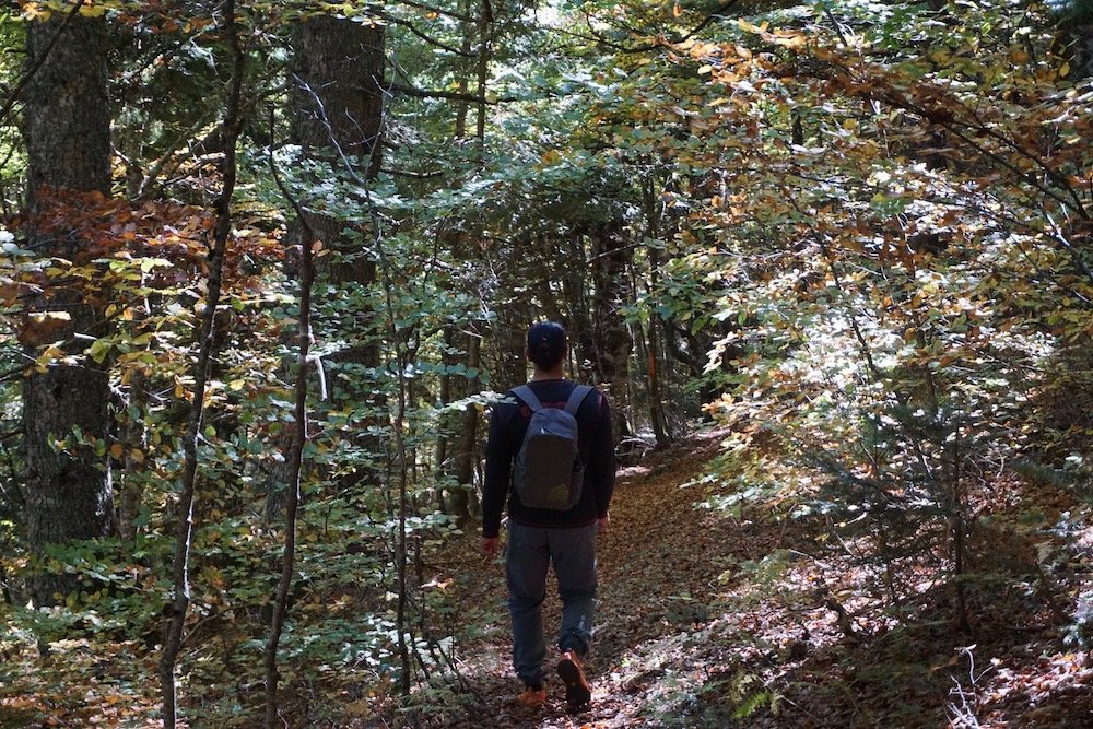 Wandelaar op de Ursa Trail bij Metsovo