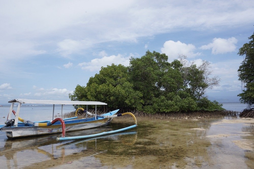 Mangrove Point op Nusa Lembongan