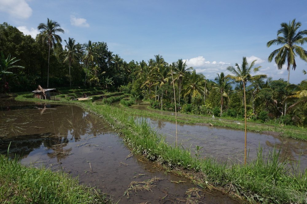 Tropisch landschap op Bali tijdens het regenseizoen