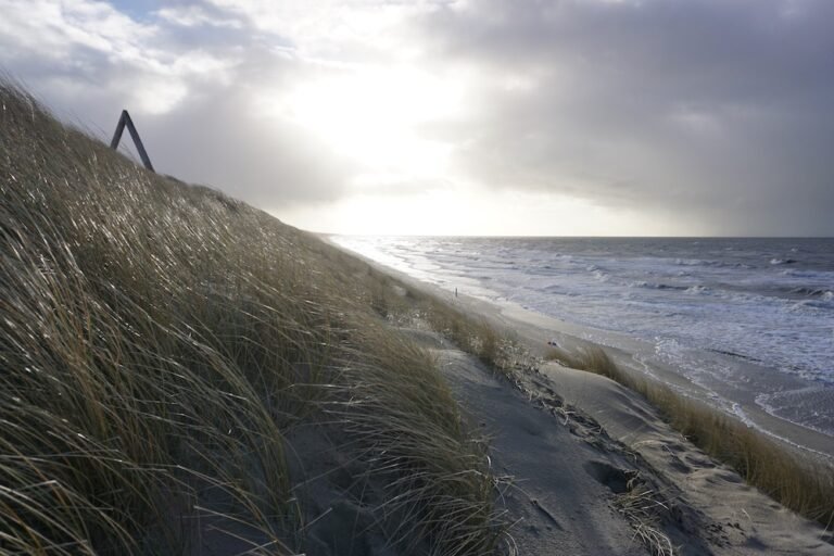 Parkeren in Zandvoort | Waar, hoeveel kost het en tips voor gratis parkeren