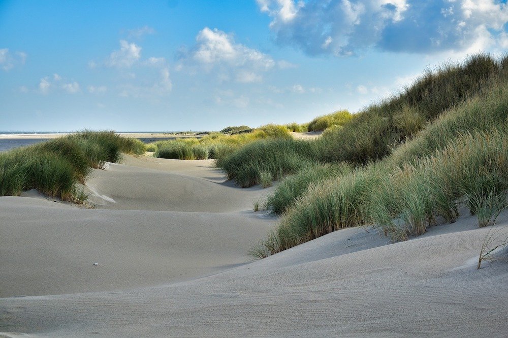 Strand en duinen Ameland