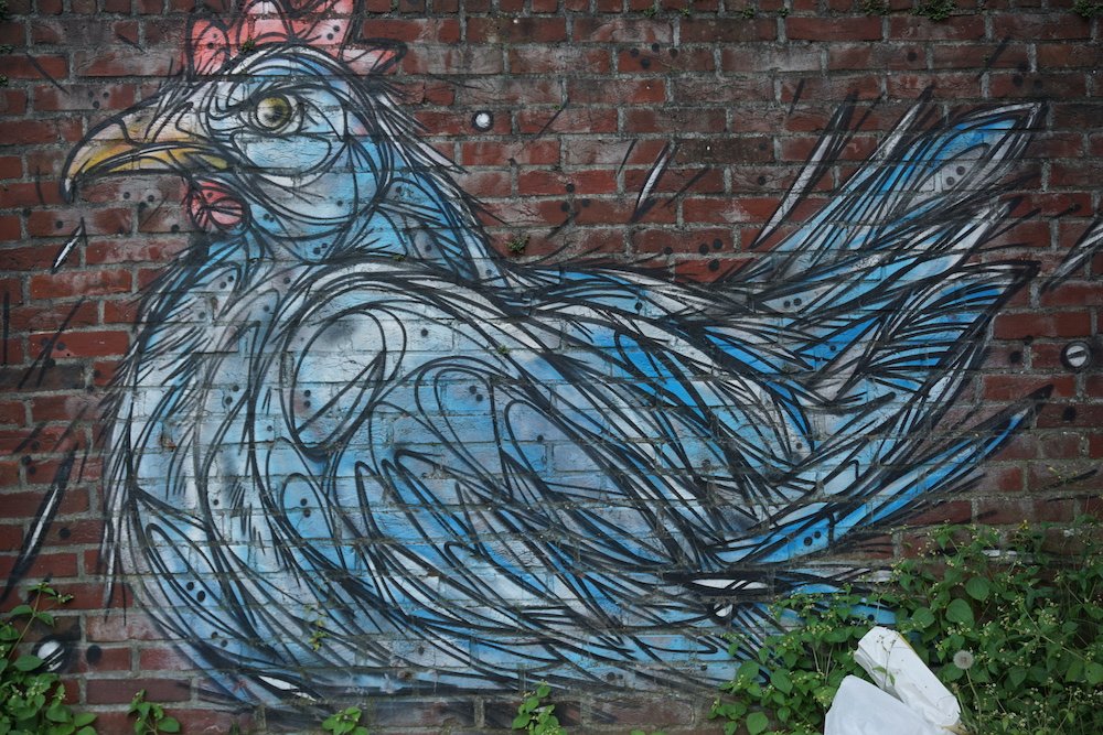 Muurschildering Blauwe Kip van Dzia in de Willemstraat